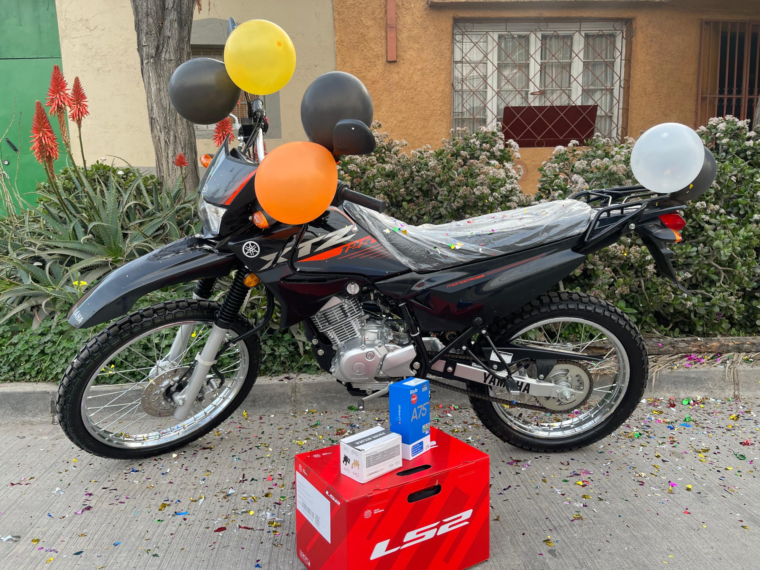 El gran despegue 